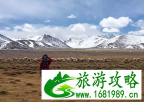 去西藏的旅游攻略 去西藏的旅游攻略
