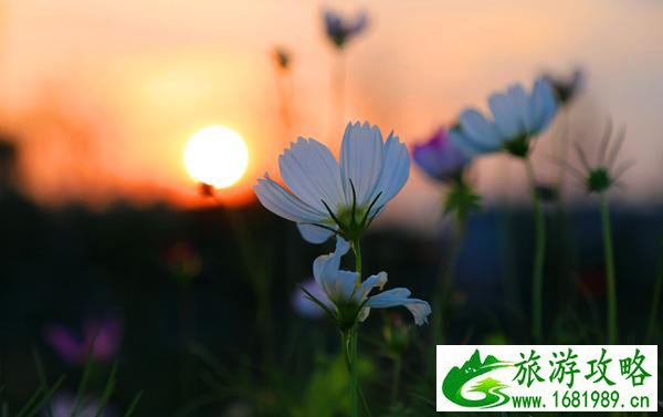 松雅湖好玩吗 松雅湖好玩吗