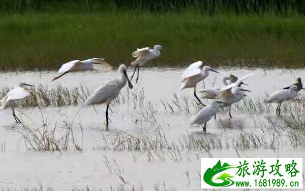 松雅湖好玩吗 松雅湖好玩吗