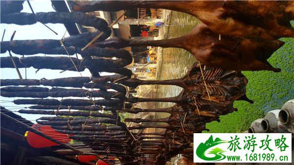 安昌古镇有什么好玩的 安昌古镇有什么好玩的