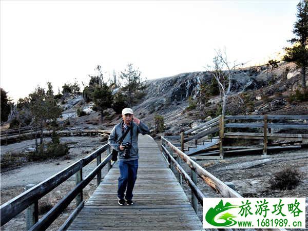 猛犸温泉在哪儿 猛犸温泉在哪儿