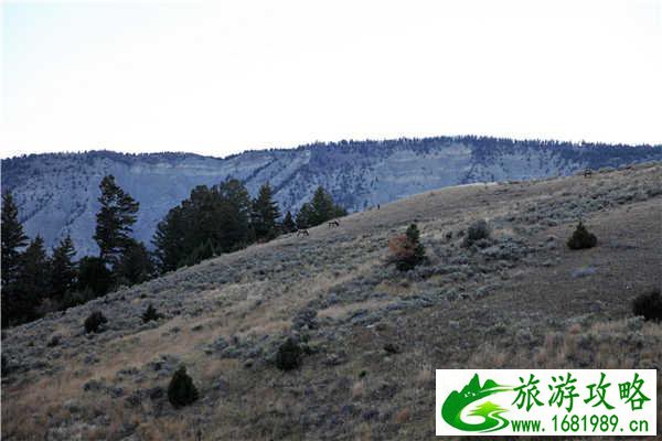 猛犸温泉在哪儿 猛犸温泉在哪儿