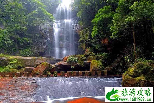 赤水自助游攻略 赤水旅游景点大全 赤水自助游攻略 赤水旅游景点大全