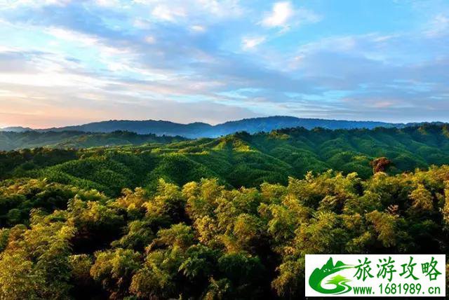 赤水自助游攻略 赤水旅游景点大全 赤水自助游攻略 赤水旅游景点大全