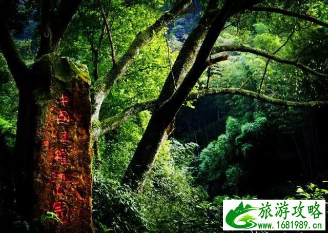 赤水自助游攻略 赤水旅游景点大全 赤水自助游攻略 赤水旅游景点大全