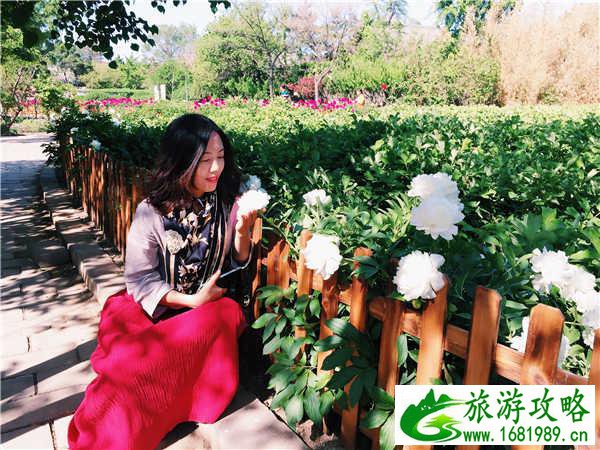 蓬莱自助游攻略 蓬莱自驾游最佳路线