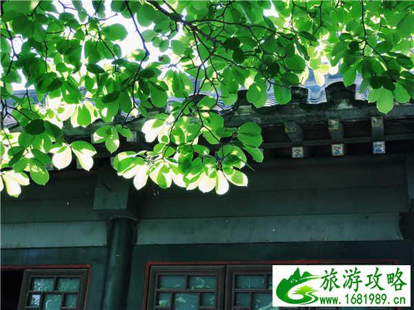 蓬莱自助游攻略 蓬莱自驾游最佳路线