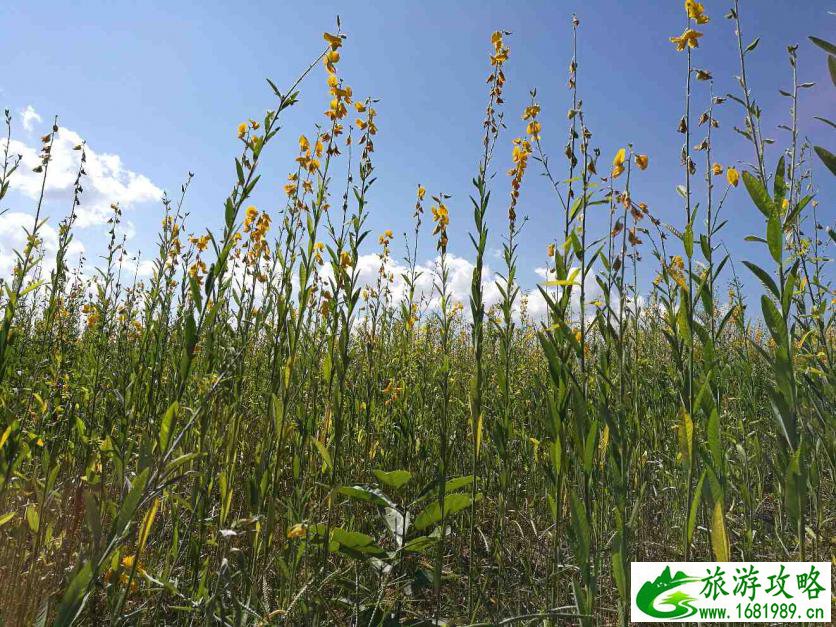 拜县自由行旅游攻略 拜县旅游景点大全 拜县自由行旅游攻略 拜县旅游景点大全