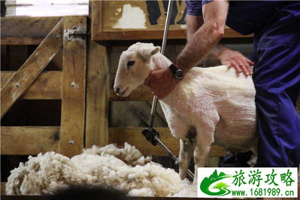 新西兰皇后镇到底可以玩什么 新西兰皇后镇到底可以玩什么