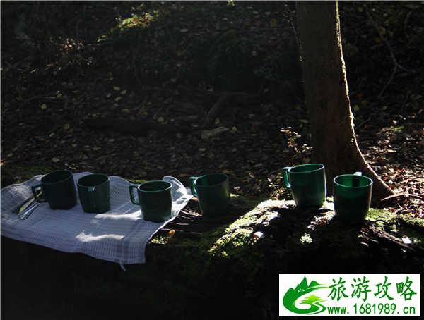 新西兰皇后镇到底可以玩什么 新西兰皇后镇到底可以玩什么