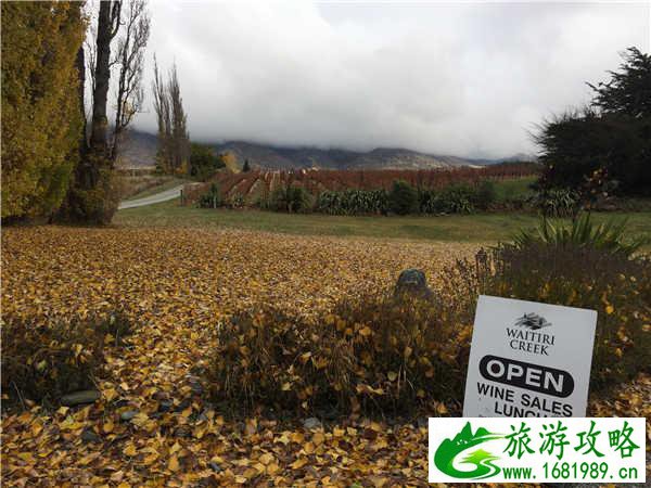 新西兰皇后镇到底可以玩什么 新西兰皇后镇到底可以玩什么