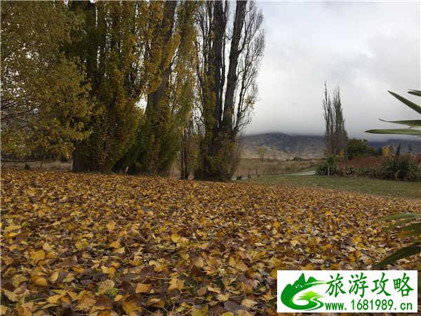 新西兰皇后镇到底可以玩什么 新西兰皇后镇到底可以玩什么