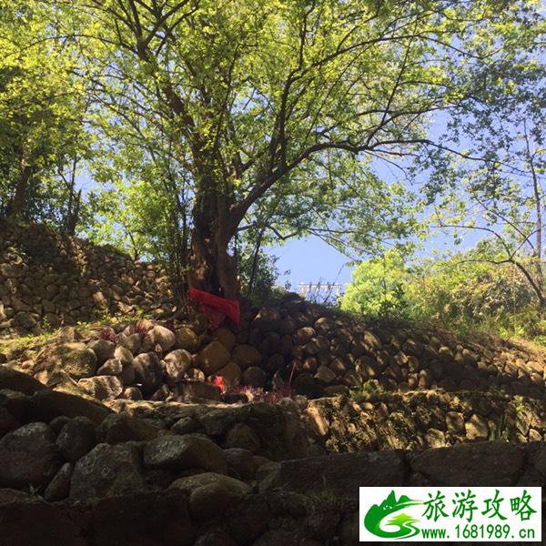 永定土楼好玩吗 永定土楼在哪儿 永定土楼好玩吗 永定土楼在哪儿