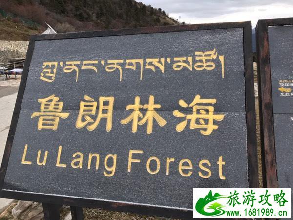 西藏有哪些值得游玩的景点