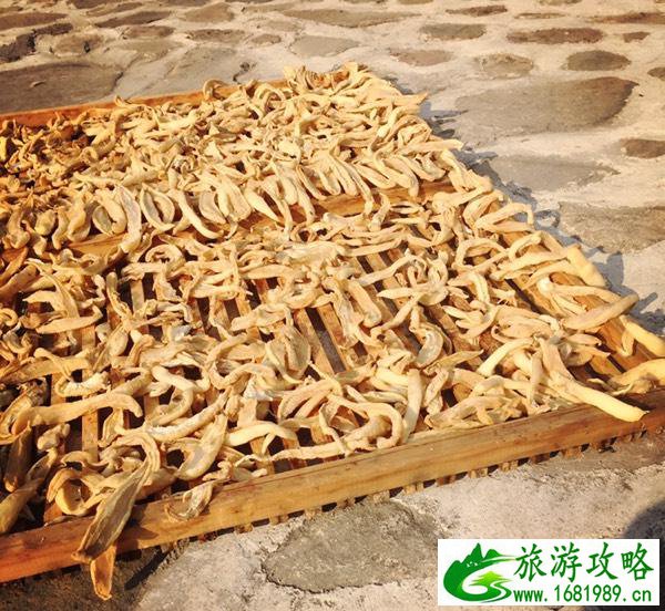 永定土楼好玩吗 永定土楼在哪儿 永定土楼好玩吗 永定土楼在哪儿