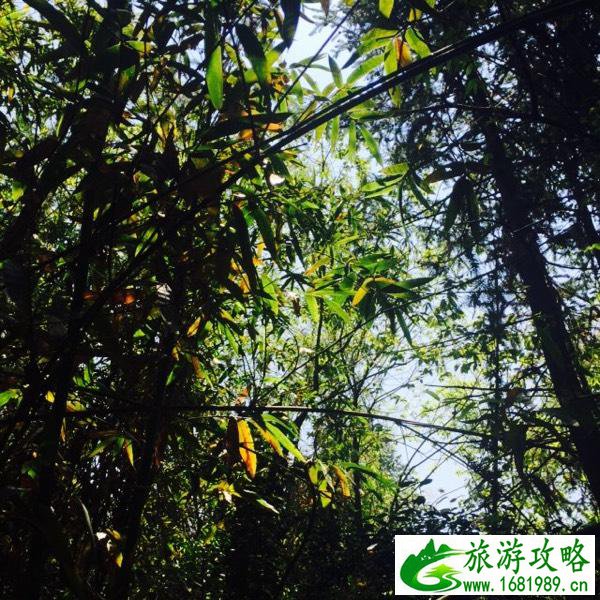永定土楼好玩吗 永定土楼在哪儿 永定土楼好玩吗 永定土楼在哪儿
