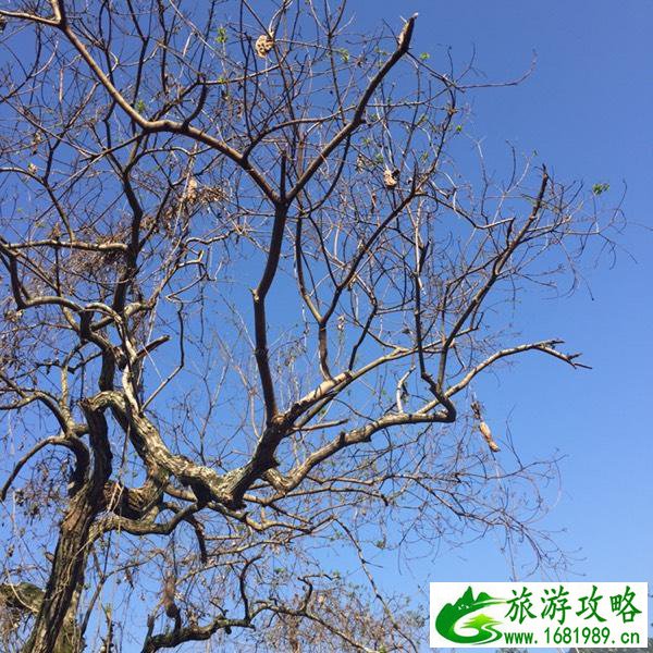 永定土楼好玩吗 永定土楼在哪儿 永定土楼好玩吗 永定土楼在哪儿