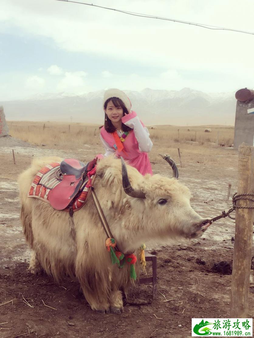 西北有哪些好玩的 西北有哪些好玩的