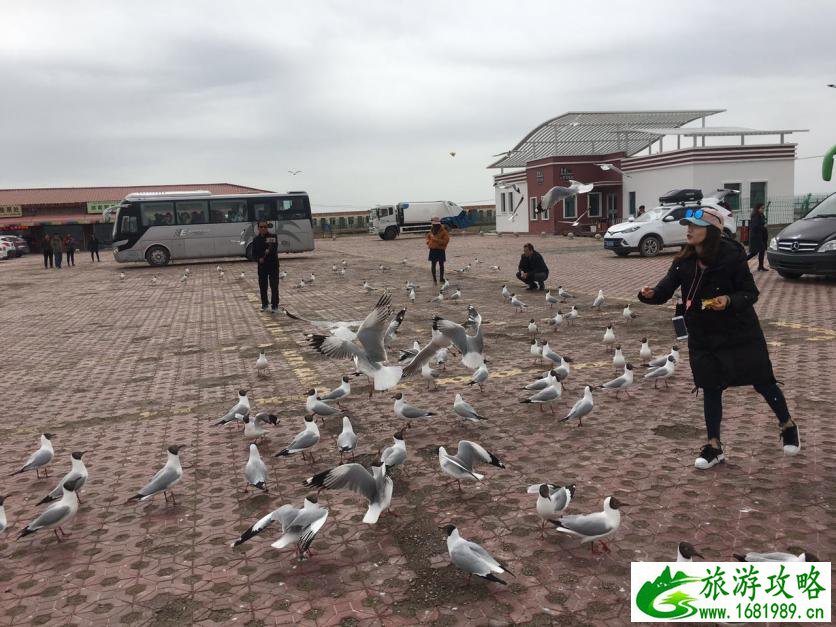 西北有哪些好玩的 西北有哪些好玩的