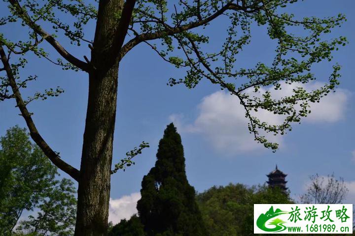 都江堰风景区在哪儿 都江堰风景区在哪儿