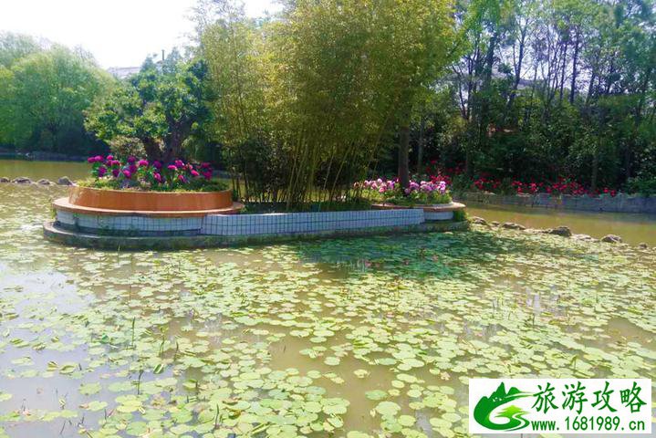 河上街古镇好玩吗 河上街在哪儿 河上街古镇好玩吗 河上街在哪儿