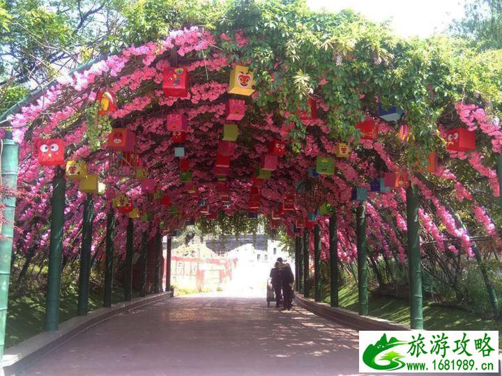 河上街古镇好玩吗 河上街在哪儿 河上街古镇好玩吗 河上街在哪儿