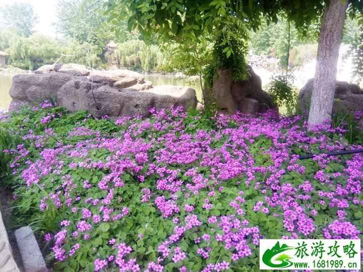 河上街古镇好玩吗 河上街在哪儿 河上街古镇好玩吗 河上街在哪儿