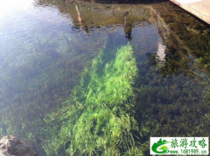 日本大阪有哪些好玩的 日本大阪有哪些好玩的