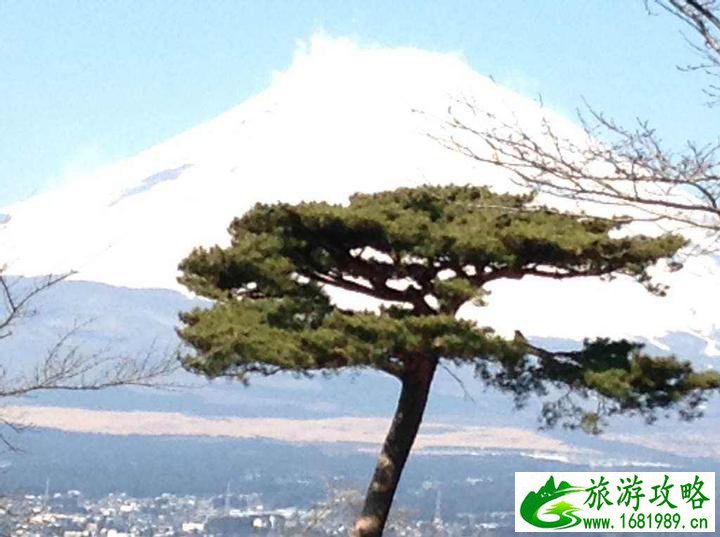 日本大阪有哪些好玩的 日本大阪有哪些好玩的