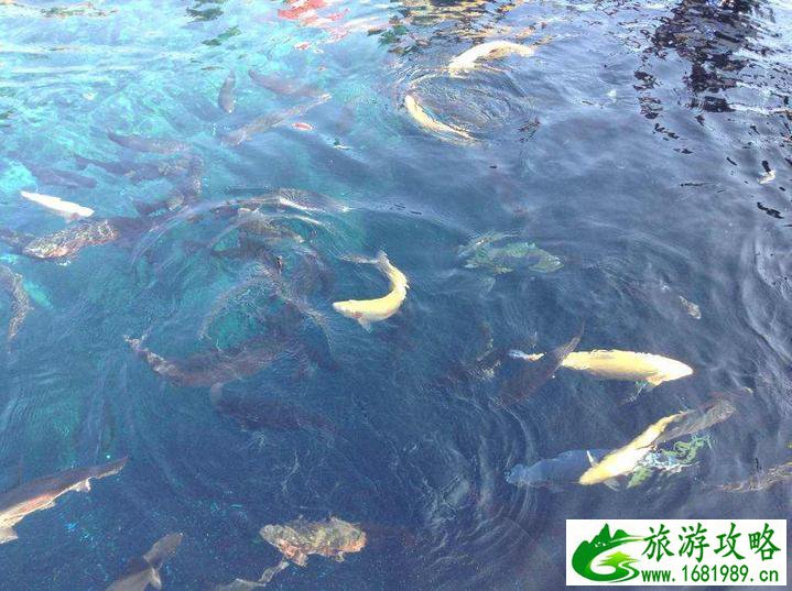 日本大阪有哪些好玩的 日本大阪有哪些好玩的