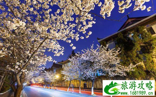 国内除了武大樱花还有那些大学有樱花 国内除了武大樱花还有那些大学有樱花