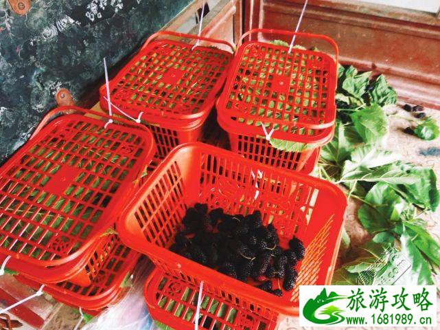 武汉周边采摘游 武汉采摘旅游攻略 武汉周边采摘游 武汉采摘旅游攻略