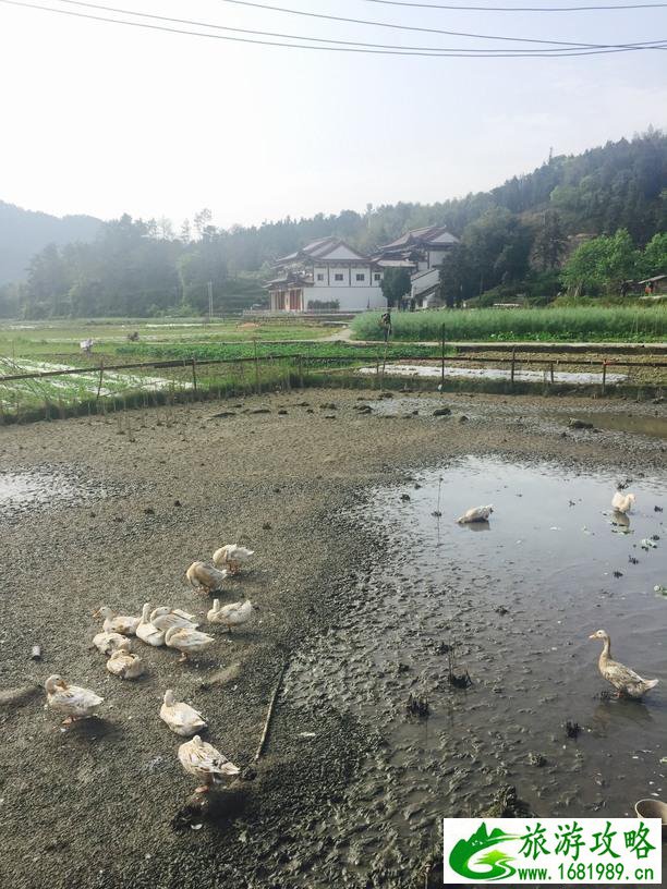 瑞安有什么好玩的地方 瑞安有那些好玩的地方 瑞安有什么好玩的地方 瑞安有那些好玩的地方