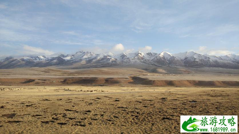 为什么那么多人向往西藏