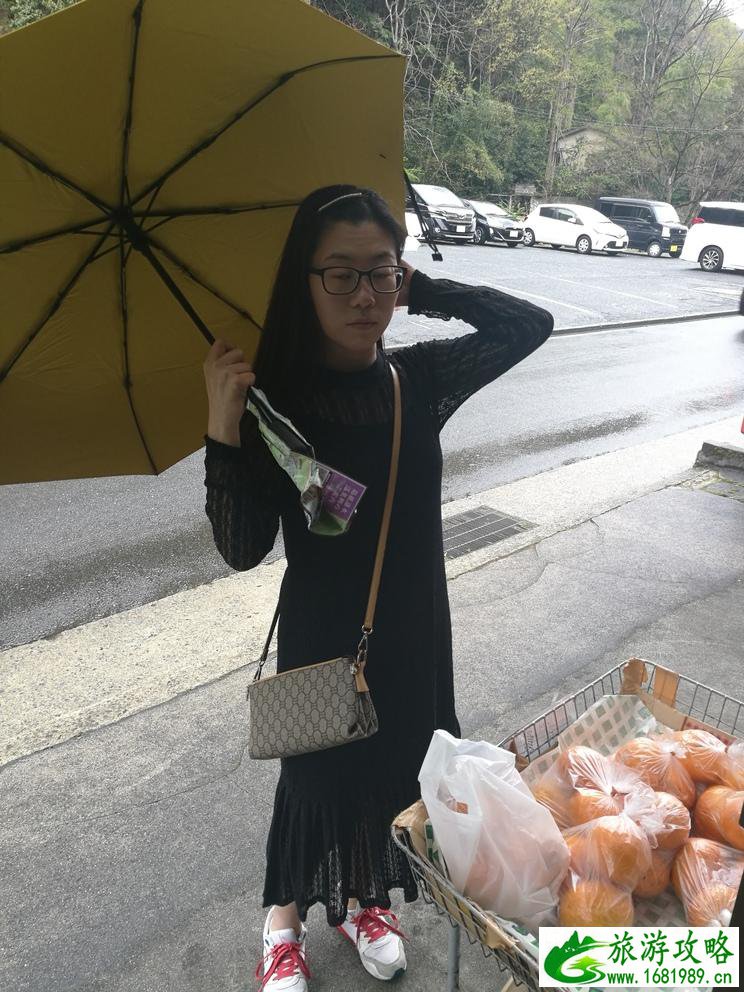 东京旅游攻略 东京自由行怎么玩 东京旅游攻略 东京自由行怎么玩