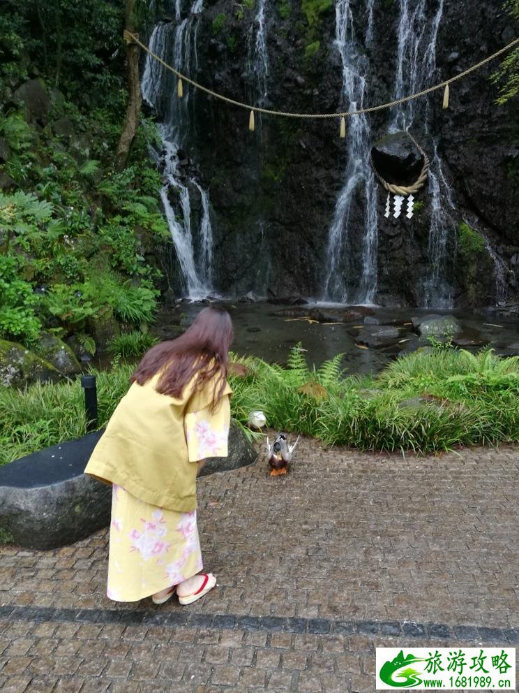 东京旅游攻略 东京自由行怎么玩 东京旅游攻略 东京自由行怎么玩