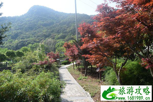 九峰山在哪里 九峰山在哪里