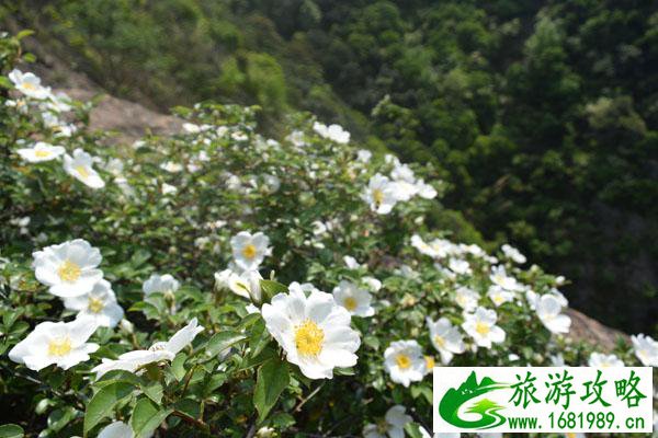 九峰山在哪里 九峰山在哪里