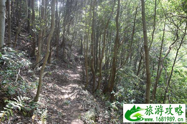 九峰山在哪里 九峰山在哪里