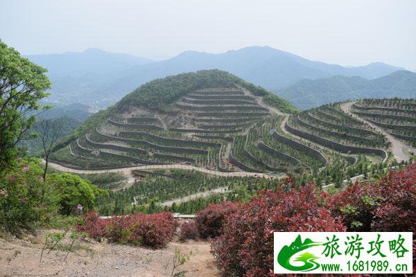 九峰山在哪里 九峰山在哪里