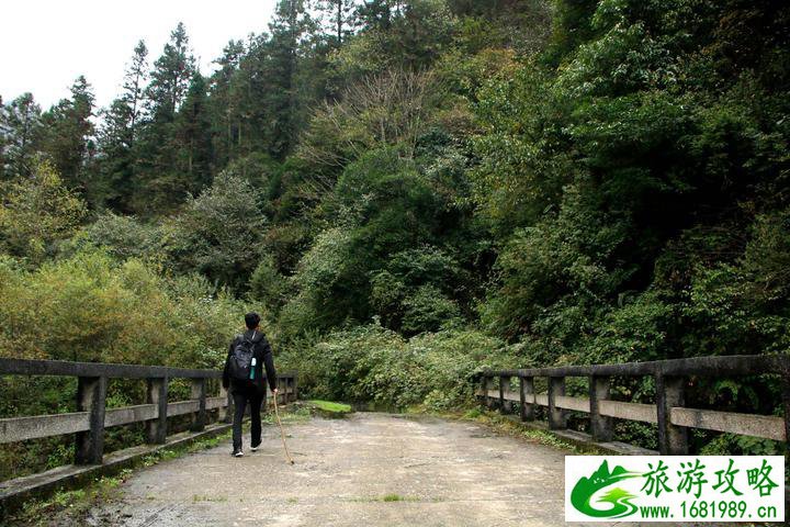 鞍子河自然保护区 崇州鞍子河 鞍子河自然保护区 崇州鞍子河