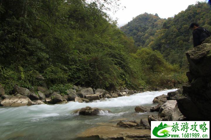 鞍子河自然保护区 崇州鞍子河 鞍子河自然保护区 崇州鞍子河