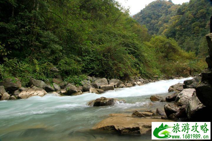 鞍子河自然保护区 崇州鞍子河 鞍子河自然保护区 崇州鞍子河