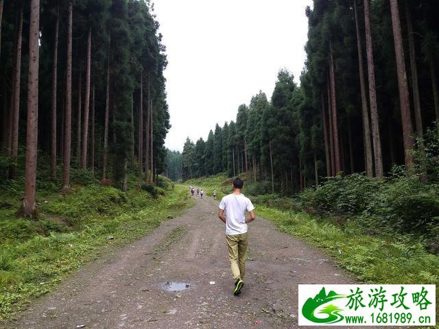 鞍子河自然保护区 崇州鞍子河 鞍子河自然保护区 崇州鞍子河