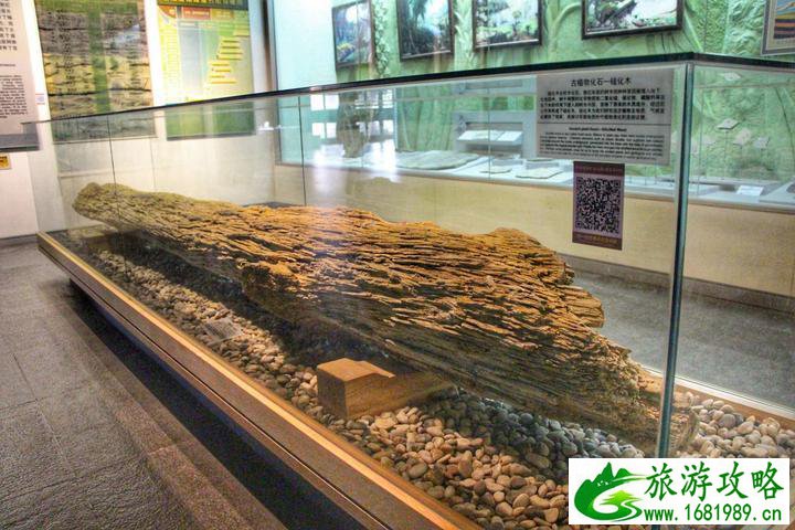 开滦国家矿山公园观后感