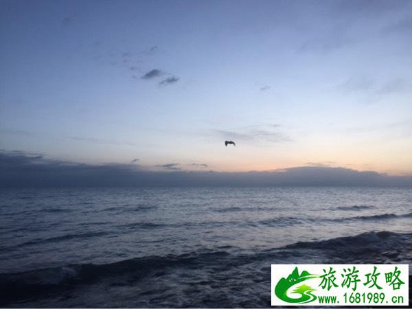 青海湖什么时候去最好 青海湖是湖还是海 青海湖什么时候去最好 青海湖是湖还是海