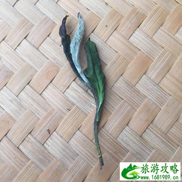 福鼎有哪些好东西  福鼎有哪些特产