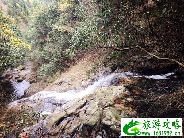 福鼎有哪些好东西  福鼎有哪些特产