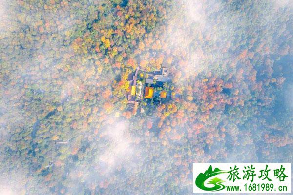 岳麓山滑道和索道介绍 游玩攻略