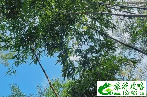 沂水天上王城景区在沂水什么位置